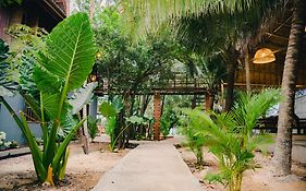 Banyan Tree Hostel